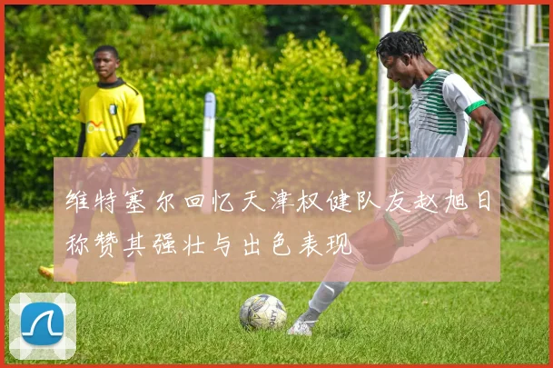 维特塞尔回忆天津权健队友赵旭日称赞其强壮与出色表现