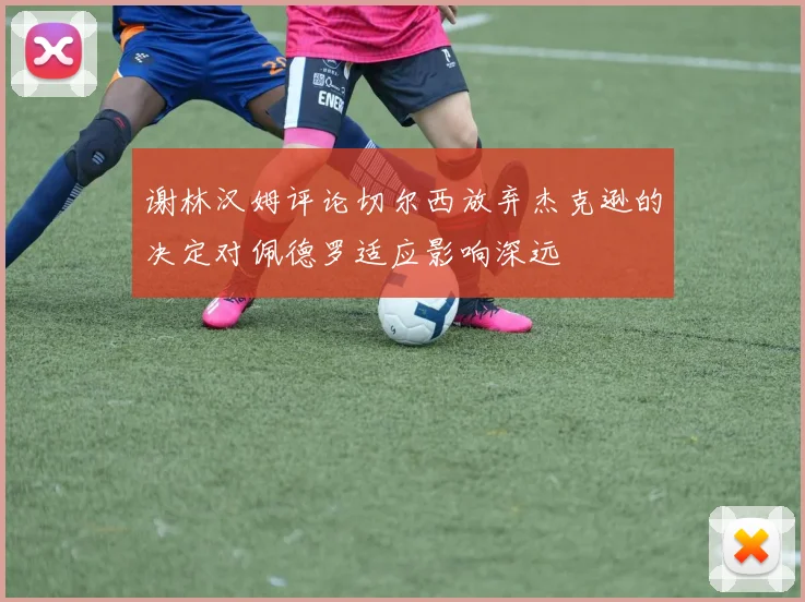 谢林汉姆评论切尔西放弃杰克逊的决定对佩德罗适应影响深远