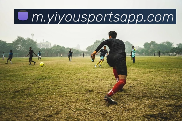 易游体育服务体系